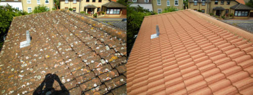 Roof tiles cleaned